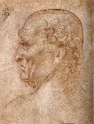 LEONARDO da Vinci Master of the Pala Sforzesca, profile of an old man France oil painting artist
